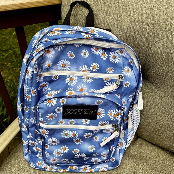 JANSPORT DAISY HAZE BIG COLLEGE BACKPACK BOOK BAG - Picture 5 of 8